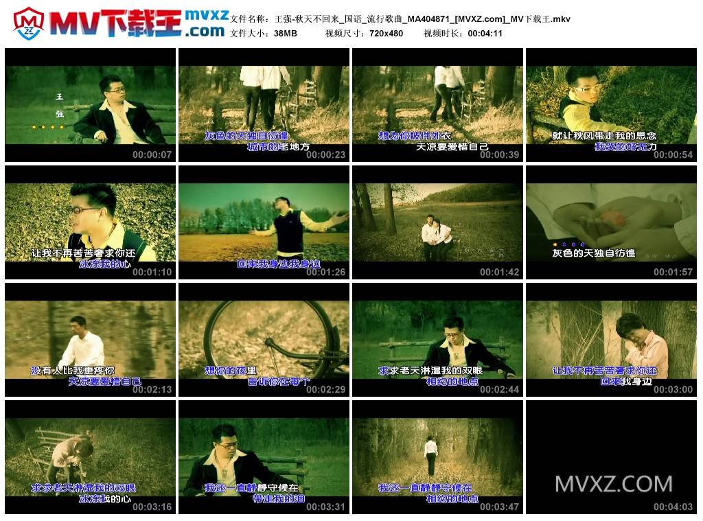 王强-秋天不回来_国语_流行歌曲_MA404871